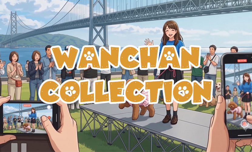 WANCHAN COLLECTION