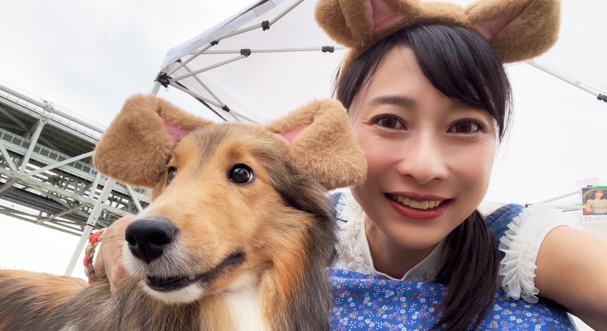 ワンちゃんコレクション イベント出演 清家すみれ